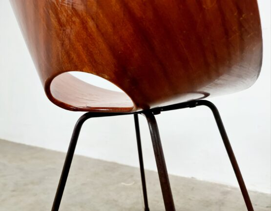 Medea chair, Vittorio Nobilli