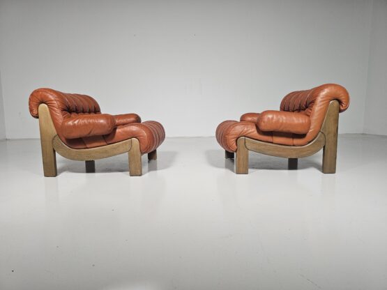 Pair of vintage cognac leather and solid oak lounge chairs, Germany, 1970s - Image 7